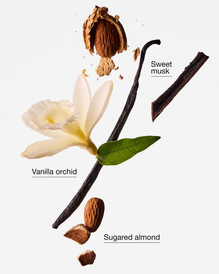 Bath & Body Works Cozy Vanilla Almond