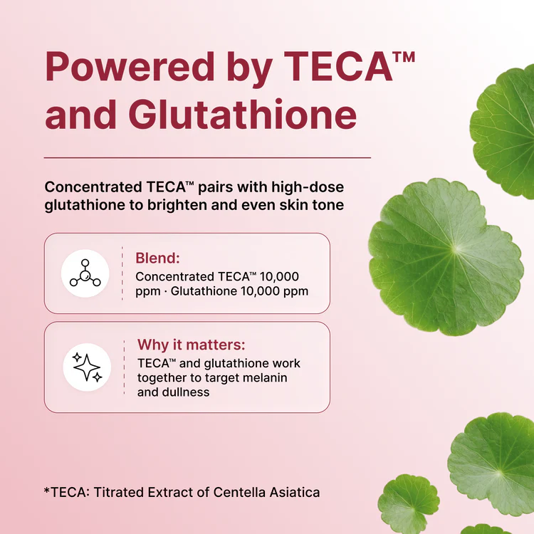 Centellian24 Expert Madeca Mela Capture Ampoule Max (2026 Version)