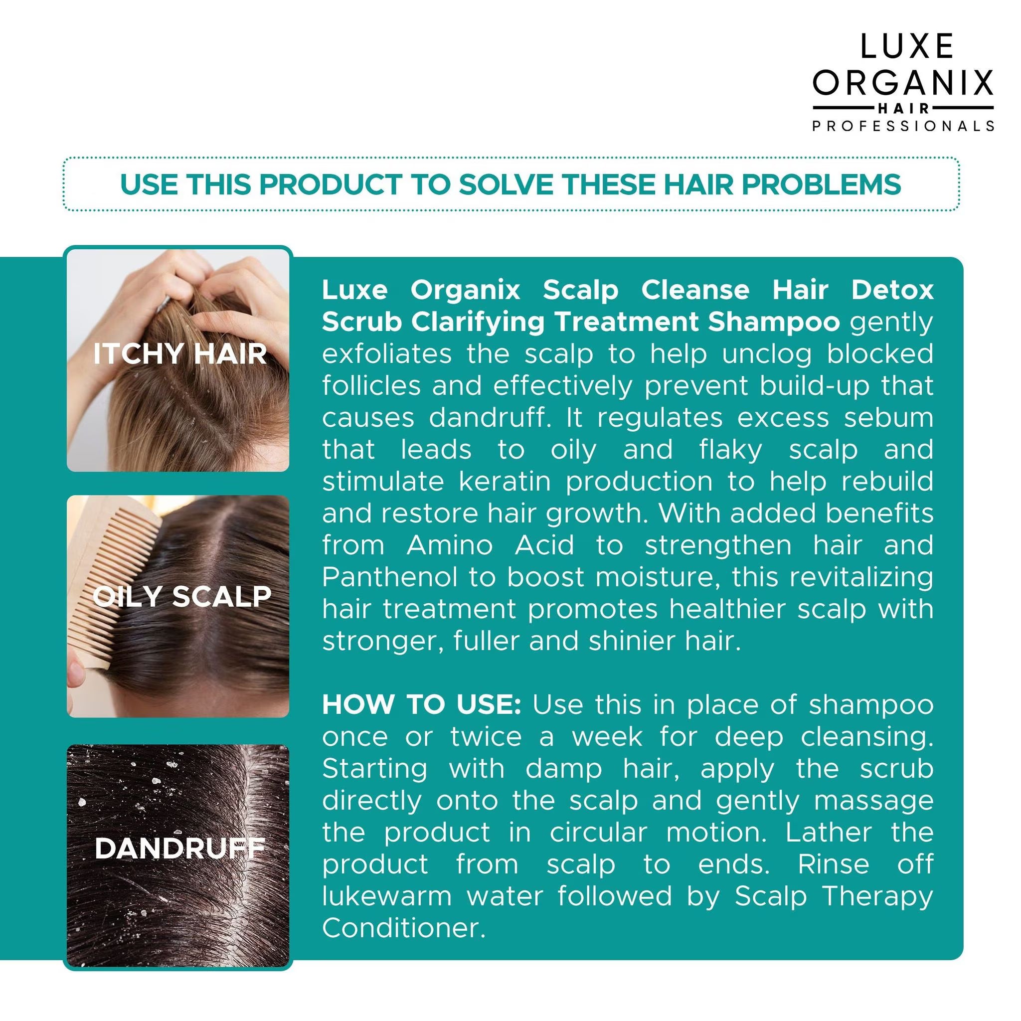 LUXE ORGANIX Scalp Cleanse Hair Detox Scrub Clarifying Treatment Shampoo